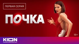 Сериал Почка
