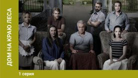 Дом на крою леса